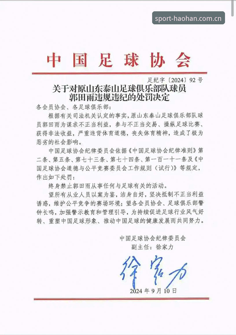HH体育数据查询 足协第三批禁足名单全面解析:65人受罚背后的中国足球治理逻辑